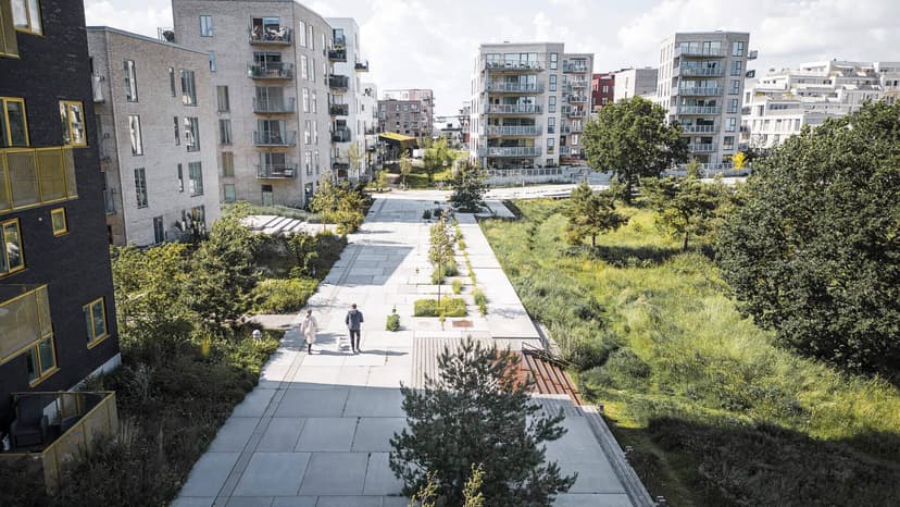 A Natureza Mais Perto de Nós