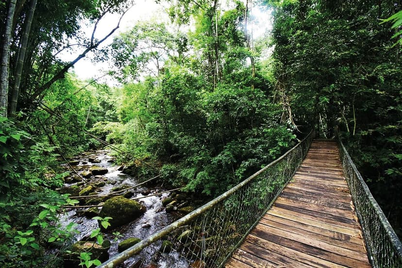 Parque Estadual da Serra do Mar